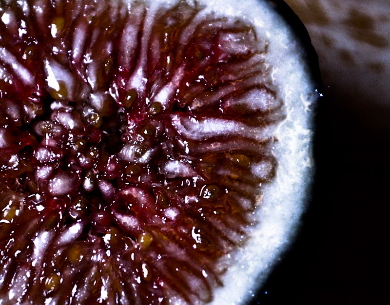 fig