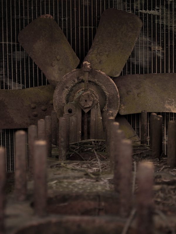 rusted is beautiful
