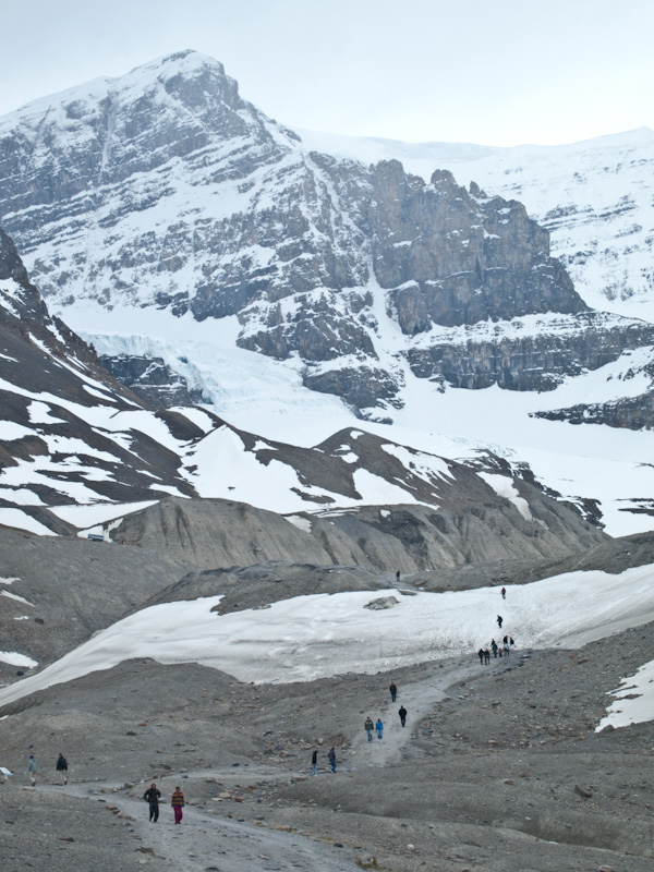 Ants on a glacier