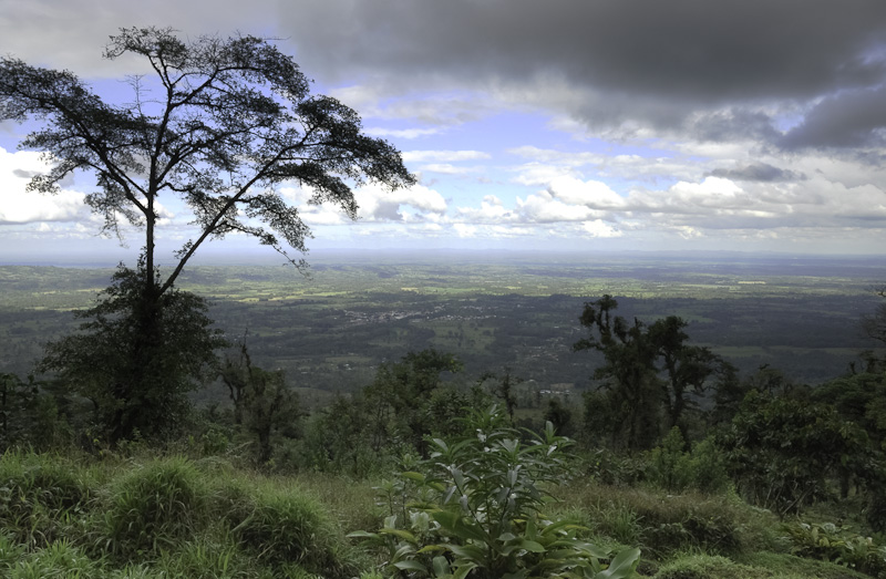 View from Cerro Chato