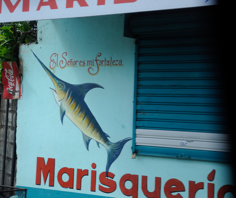 El señor es mi fortaleza