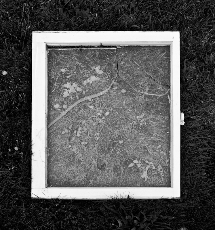 The grass is always greener